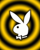 anim176220mobildesign.atw.hu_0363.gif